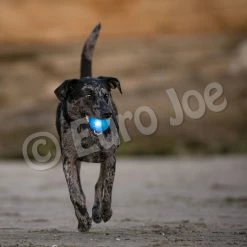 Euro Joe PD ORBEE-TUFF Strobe Ball Blue- Ø7,5cm -Euro Joe STORE PD68804M Orbee Strobe Ball Blue LS 2