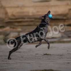 Euro Joe PD ORBEE-TUFF Strobe Ball Blue- Ø7,5cm