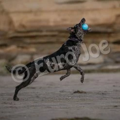 Euro Joe PD ORBEE-TUFF Strobe Ball Blue- Ø7,5cm