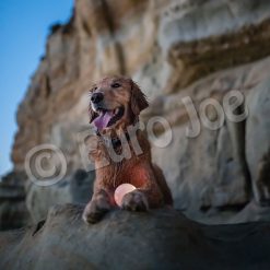 Euro Joe PD ORBEE-TUFF Strobe Ball Glow White- Ø7,5cm