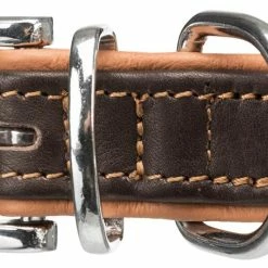 Euro Joe Active Comfort Collar, Leather -Euro Joe STORE PHO PRO DET ActiveComfort 18934 18939 9