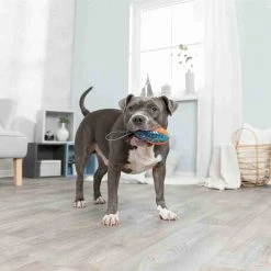 Euro Joe Push To Mute Rugby Aan Singelband, TPR -Euro Joe STORE PHO PRO DOG 33550 1