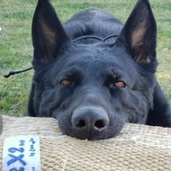 Euro Joe Bitesleeve "RX2" 12 Euro Joe Bitesleeve "RX2" -Euro Joe STORE RX2