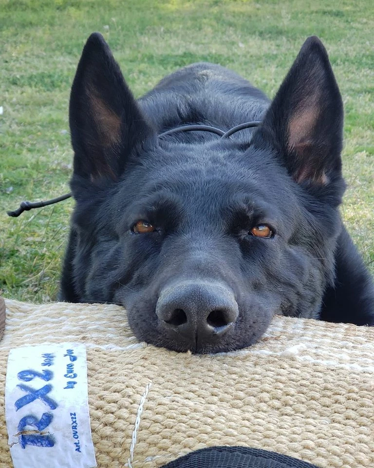 Euro Joe Bitesleeve "RX2" 5 Euro Joe Bitesleeve "RX2" - Image 5