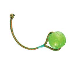 Euro Joe Swing 'n Fling Chewball On Rope