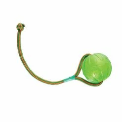 Euro Joe Swing 'n Fling Chewball On Rope