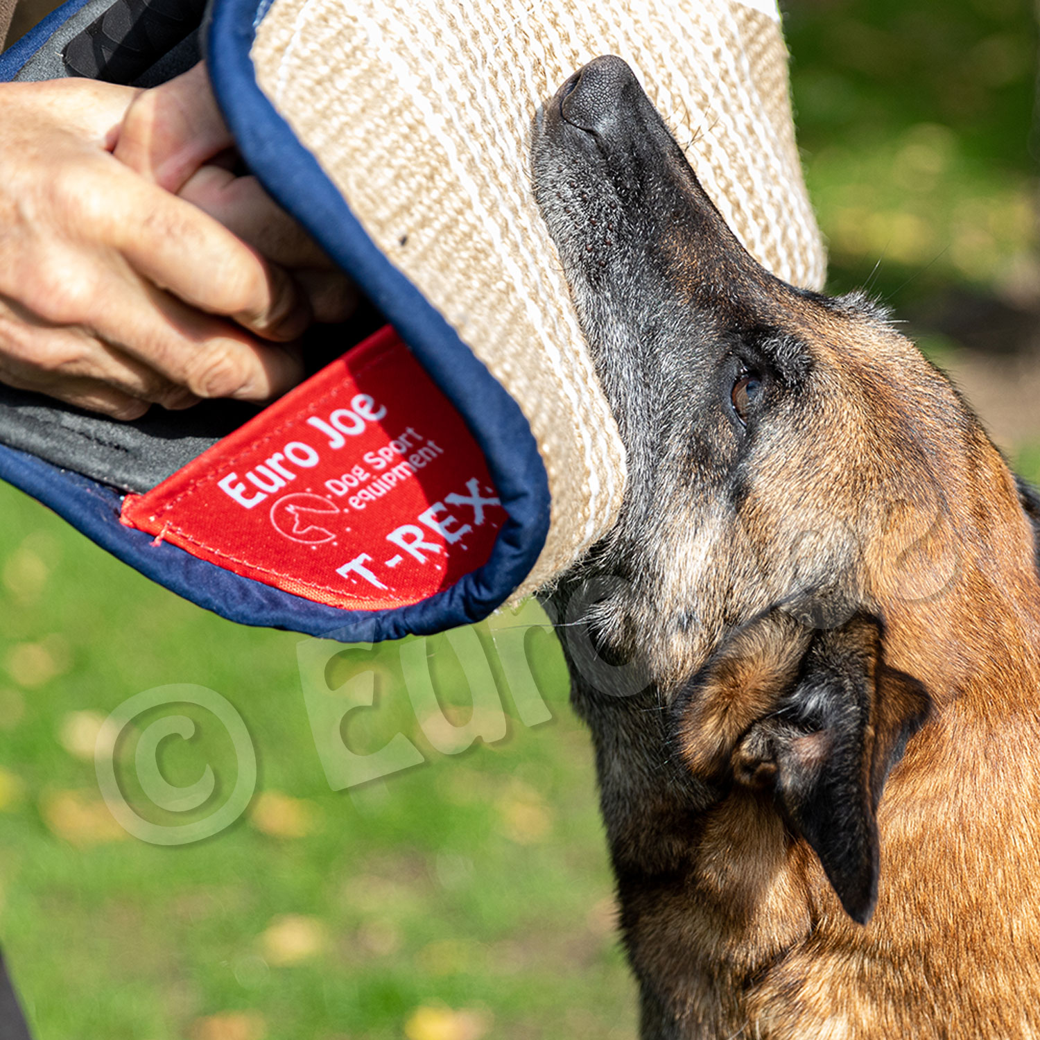 Soft bitecushion "T-Rex" Euro Joe Soft Bitecushion "T-Rex" -Euro Joe STORE T Rex 5