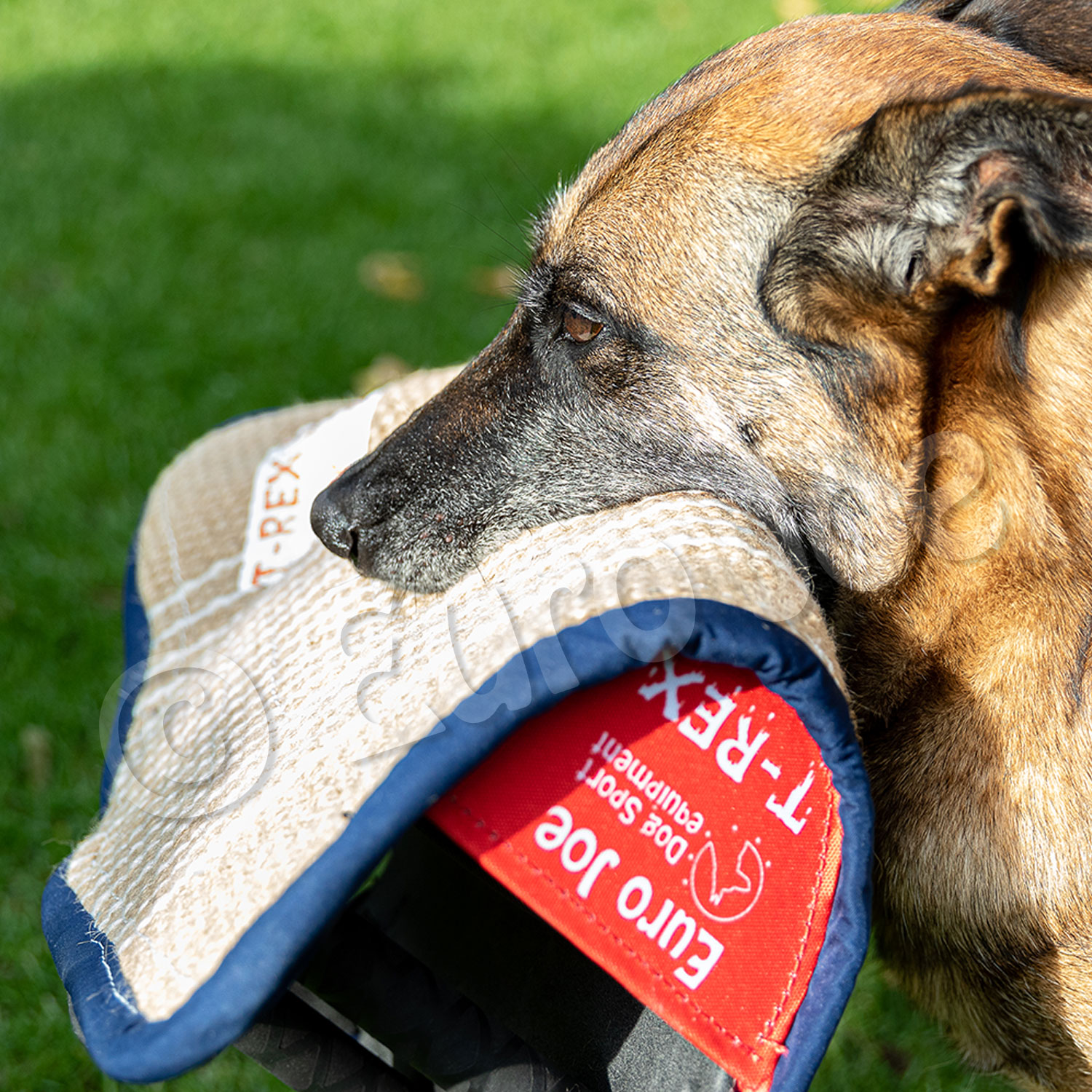 Soft bitecushion "T-Rex" Euro Joe Soft Bitecushion "T-Rex" -Euro Joe STORE T Rex 6