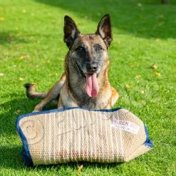 Euro Joe Soft Bitecushion "T-Rex" -Euro Joe STORE T Rex 8