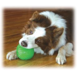 Euro Joe Treat Dispensing Chewball -Euro Joe STORE TreatDispensingBall3