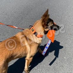 Euro Joe Tug French Linen Soft -Euro Joe STORE Uzi oranje