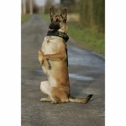 Euro Joe Scarf "Camo" -Euro Joe STORE afdek20halsband2005