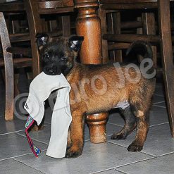 Euro Joe Biteleather Grey