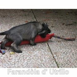 Euro Joe Tug French Linen Hard 29 Euro Joe Tug French Linen Hard -Euro Joe STORE bijtworstschnauzer01 1