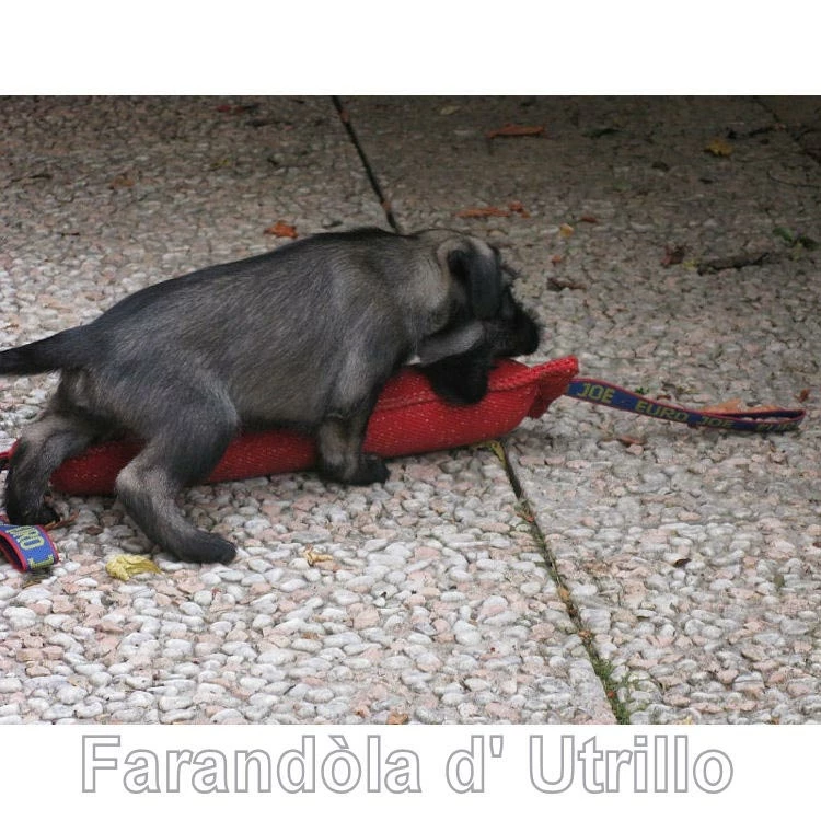 Euro Joe Tug French Linen Soft 16 Euro Joe Tug French Linen Soft - Image 16