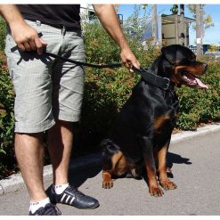 Euro Joe Wide Collar 50 Mm With Handle -Euro Joe STORE bredehalsbandHV01