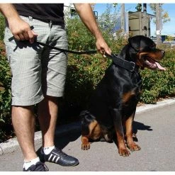 Euro Joe Wide Collar 50 Mm With Handle -Euro Joe STORE bredehalsbandHV01