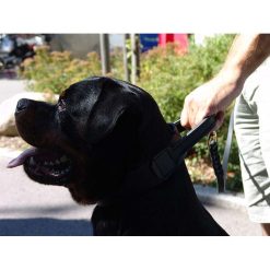 Euro Joe Wide Collar 50 Mm With Handle -Euro Joe STORE bredehalsbandHV02