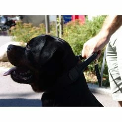 Euro Joe Wide Collar 50 Mm With Handle -Euro Joe STORE bredehalsbandHV02