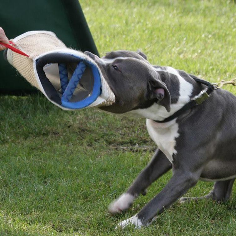 Double max Euro Joe Double Max -Euro Joe STORE double Max met Will van den Heuvel 2