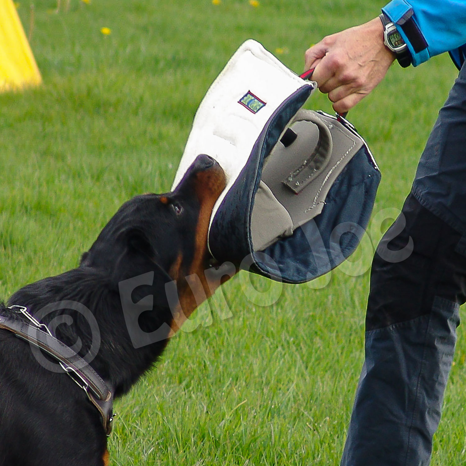 Bite sleeve "Gripper" nylcot Euro Joe Bite Sleeve "Gripper" Nylcot -Euro Joe STORE gripper nylcot 05