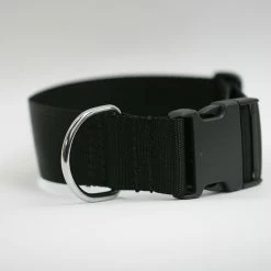 Euro Joe Collar "Cosmo"