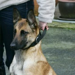 Euro Joe Collar "Grando" -Euro Joe STORE halsbandnylonHV08