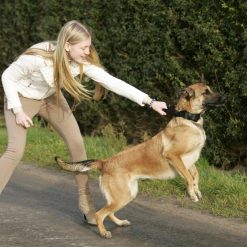 Euro Joe Collar "Grando" -Euro Joe STORE halsbandnylonHV09