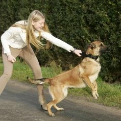 Euro Joe Collar "Grando" -Euro Joe STORE halsbandnylonHV09