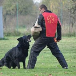 Euro Joe IPO Suit "Classic" -Euro Joe STORE ipokostuum