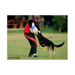 IPO jacket "Classic" Euro Joe IPO Jacket "Classic" -Euro Joe STORE ipopak01 2