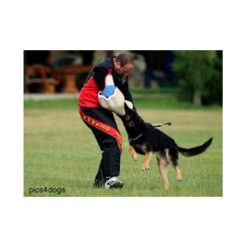 Euro Joe IPO Suit "Classic"