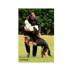 Euro Joe IPO Trousers "Classic" 3 Euro Joe IPO Trousers "Classic" -Euro Joe STORE ipopak02 1