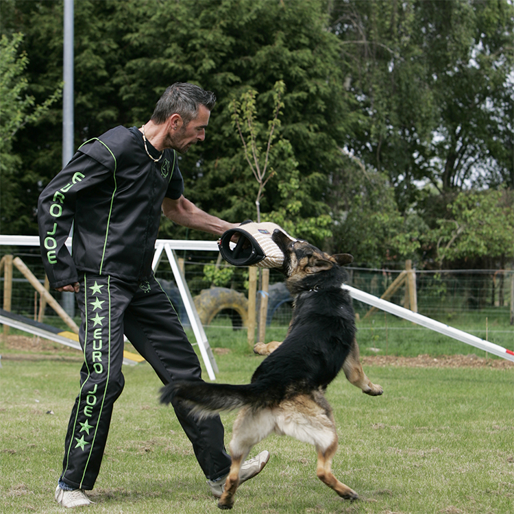 IPO trousers "Premium" Euro Joe IPO Trousers "Premium" -Euro Joe STORE ipopak20light02 1