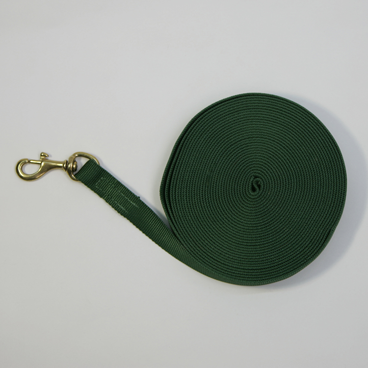 Leash soft nylon with handle Euro Joe Leash Soft Nylon With Handle -Euro Joe STORE lange20lijn20soft20groen2001