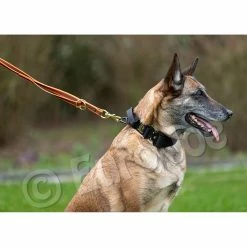 Euro Joe Reducable Line "Lirka" -Euro Joe STORE lirka 10