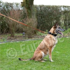 Euro Joe Reducable Line "Lirka" -Euro Joe STORE lirka 11