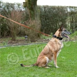 Euro Joe Reducable Line "Lirka" -Euro Joe STORE lirka 11