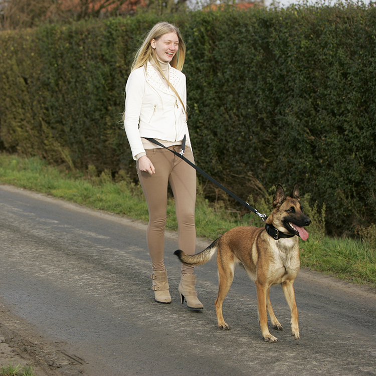 Police line "K9" Euro Joe Police Line "K9" -Euro Joe STORE politielijn20K92001