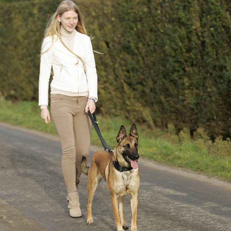 Police line "K9" Euro Joe Police Line "K9" -Euro Joe STORE politielijn20K92002