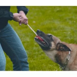 Euro Joe Top Matic "Fun Ball" (orange+)