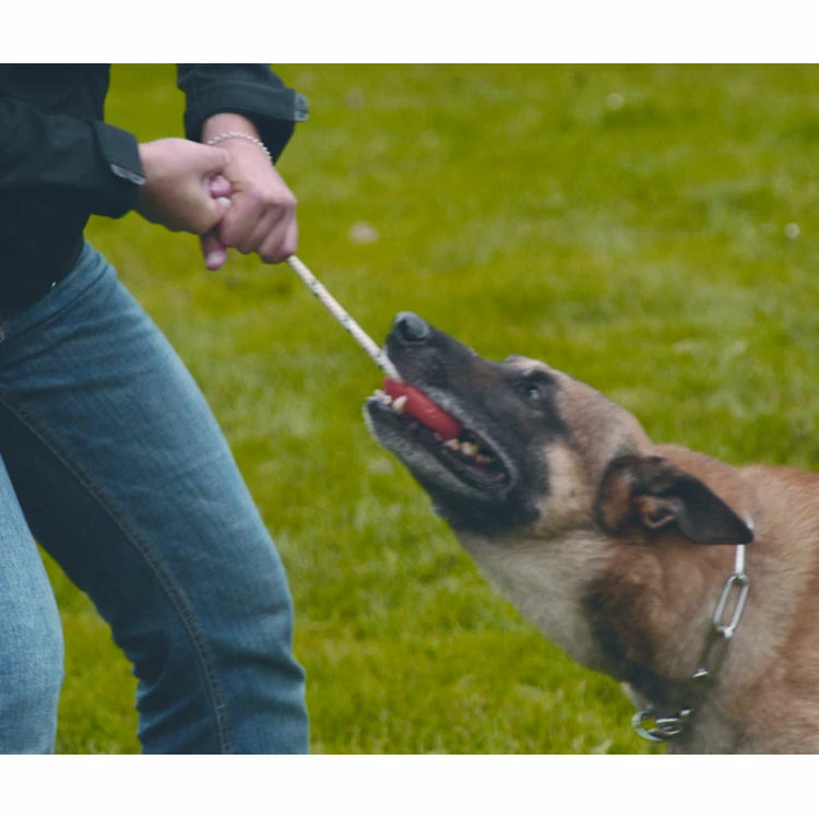 Euro Joe Top Matic "Fun Ball" (orange+) 1 Euro Joe Top Matic "Fun Ball" (orange+)