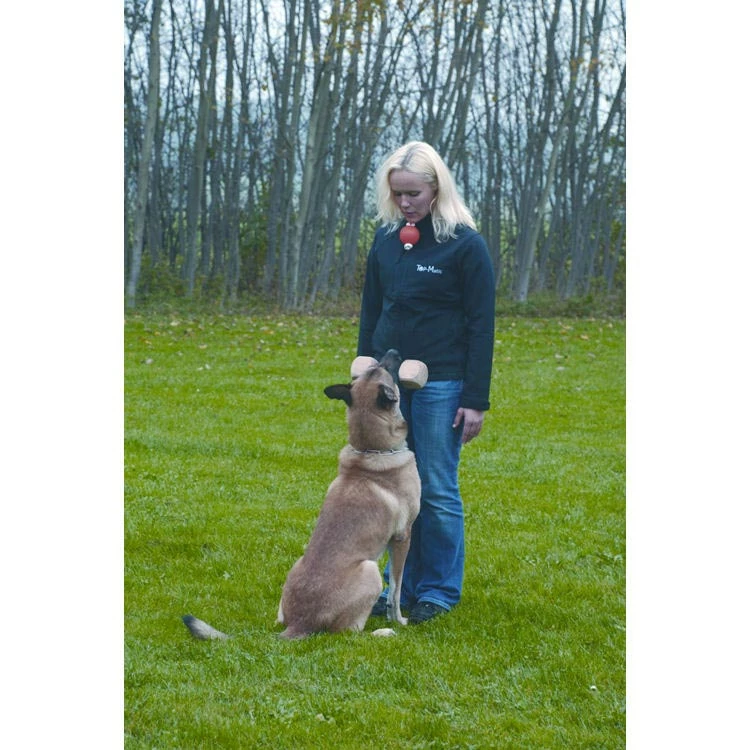 Euro Joe Top Matic "Fun Ball" (orange+) 2 Euro Joe Top Matic "Fun Ball" (orange+) - Image 2